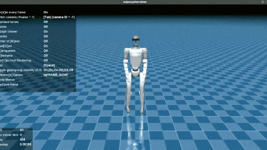 g1 mujoco simulation