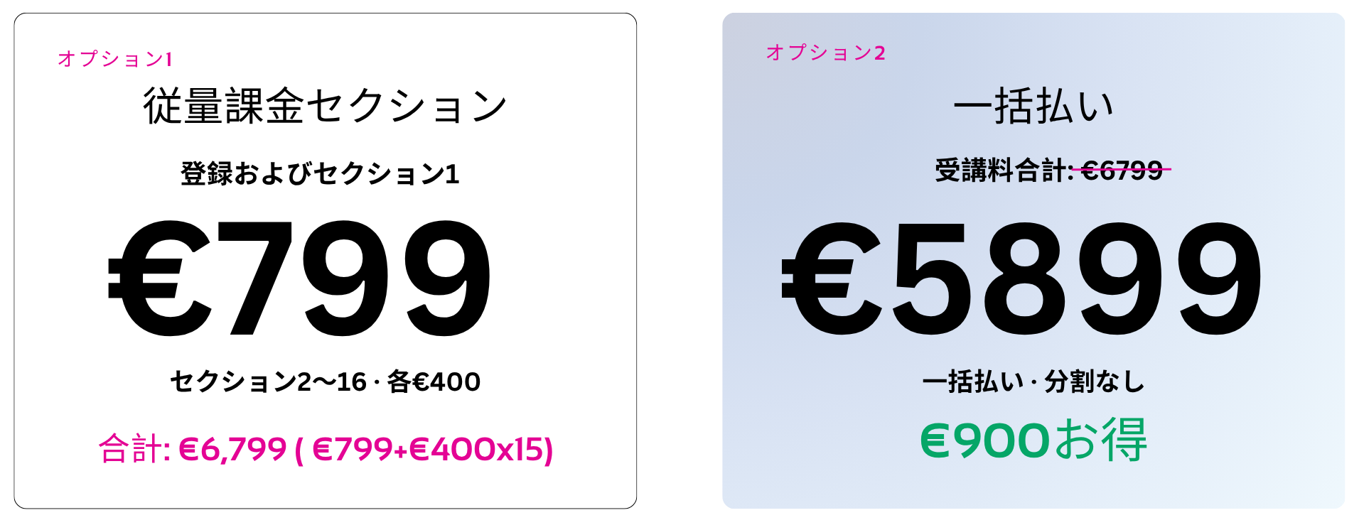 Lite Payment Options JP (1)